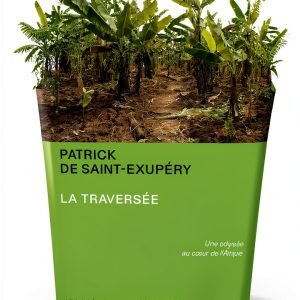 Les Arènes French Politics Kindle Book National Security-0